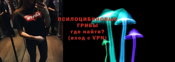 PSILOCYBIN Михайловка